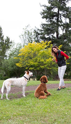 | Colleen Dog Training