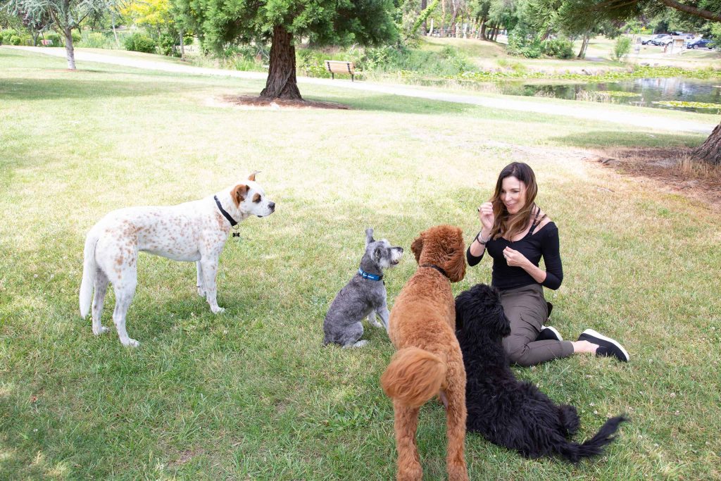 Alicekalis Colleen 0221 256072 | Colleen Dog Training