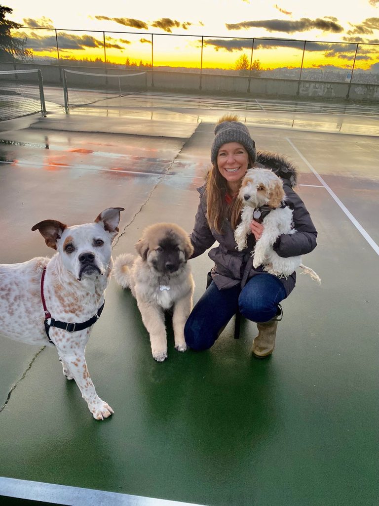 Dog Behavior Modification 4 | Colleen Dog Training