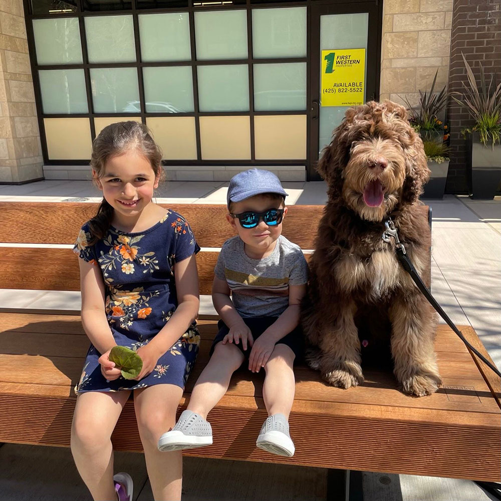 Day Training Sessions Customized To Your 1 | Colleen Dog Training