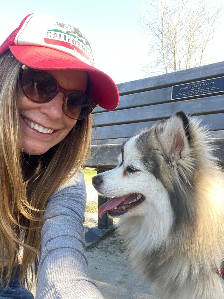 Day Training Sessions Customized To Your 2 | Colleen Dog Training