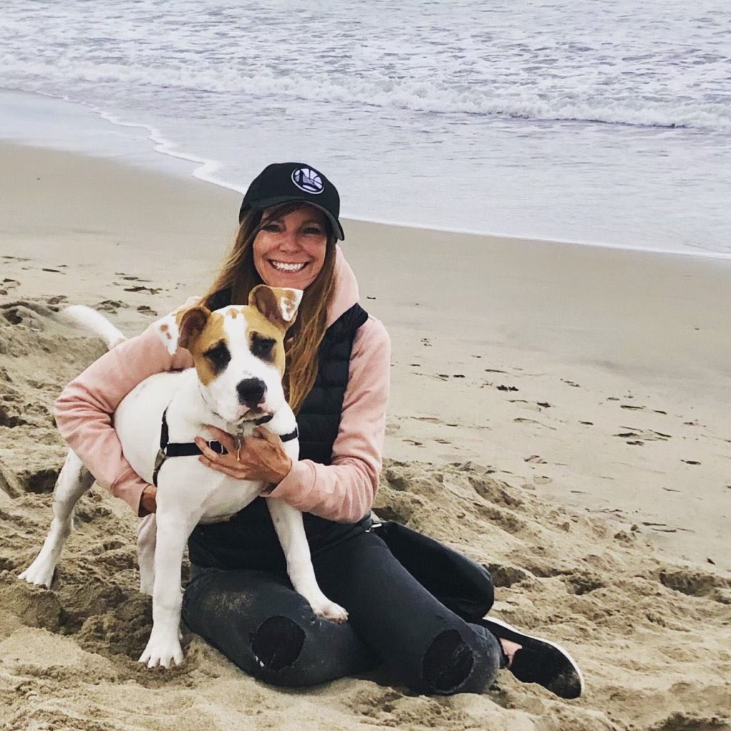 Day Training Sessions Customized To Your 4 | Colleen Dog Training