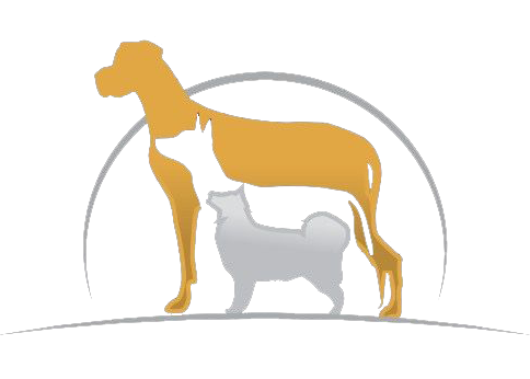 3 | Colleen Dog Training