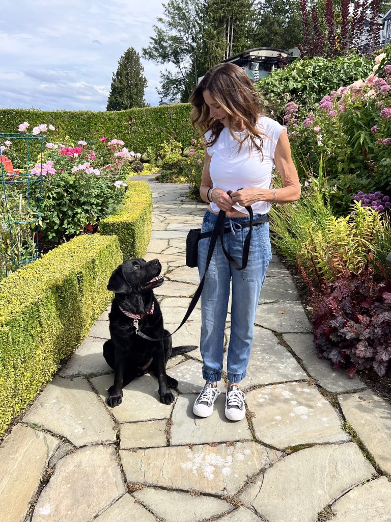 Img 7683 | Colleen Dog Training