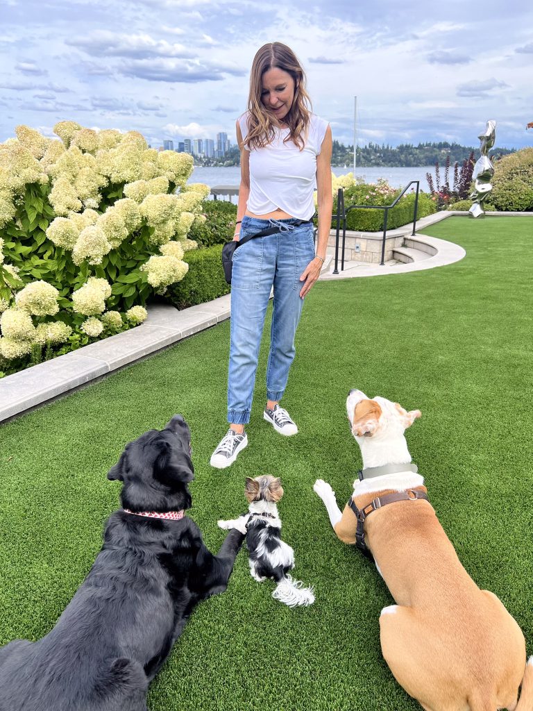 Img 7829 | Colleen Dog Training